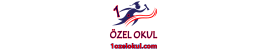 1özelokul.com